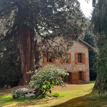 Maison Des Sequoias - Parc 1 Hectare- Veyrac Exterior foto