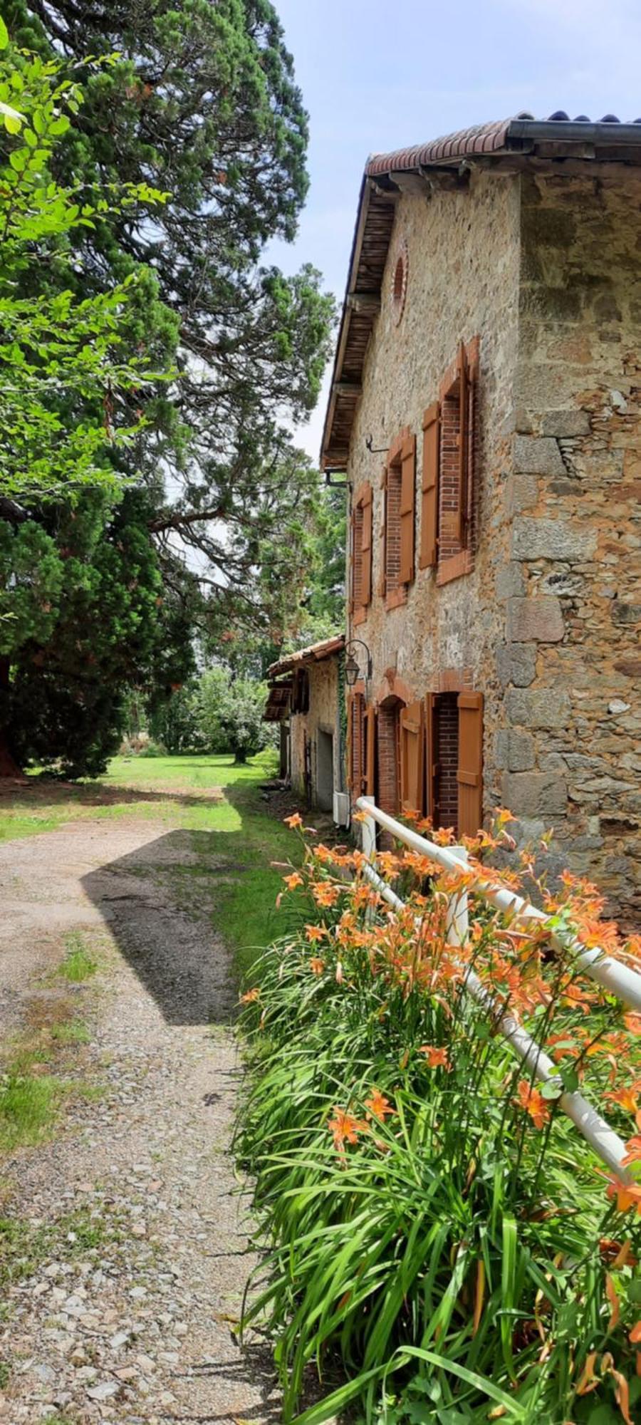 Maison Des Sequoias - Parc 1 Hectare- Veyrac Exterior foto